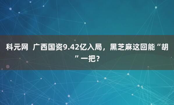 科元网  广西国资9.42亿入局，黑芝麻这回能“胡”一把？